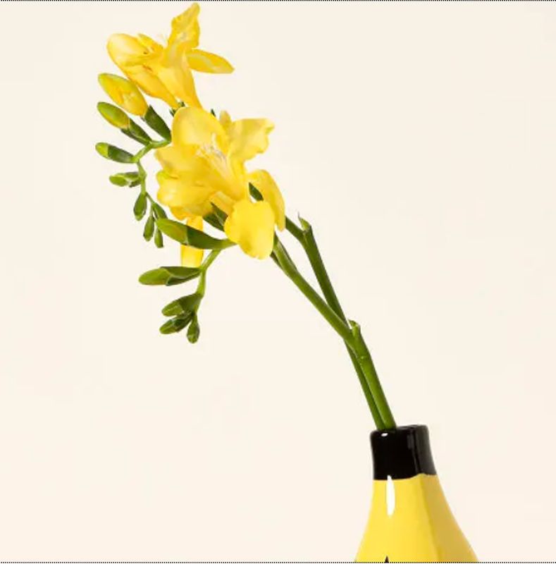 Funky Banana Vase